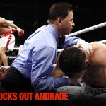 Box - Lucian Bute l-a învins pe Librado Andrade prin KO şi îşi păstrează titlul mondial IBF