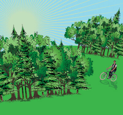 Green Village si workshopuri la B’Estfest Summer Camp
