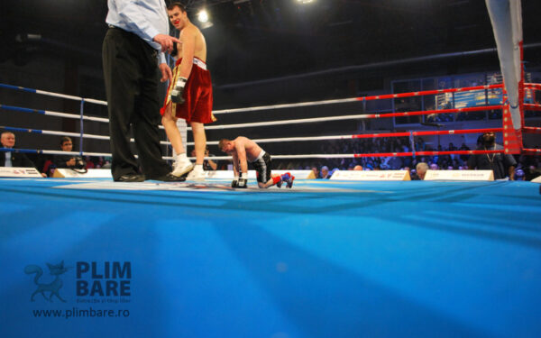 Box – mărire şi decădere