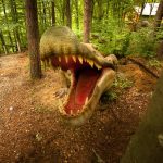 Dino Parc Rasnov