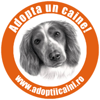 Flashmob impotriva eutanasierii cainilor