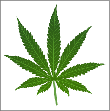 Cannabisul mai puţin dăunător decât băutura